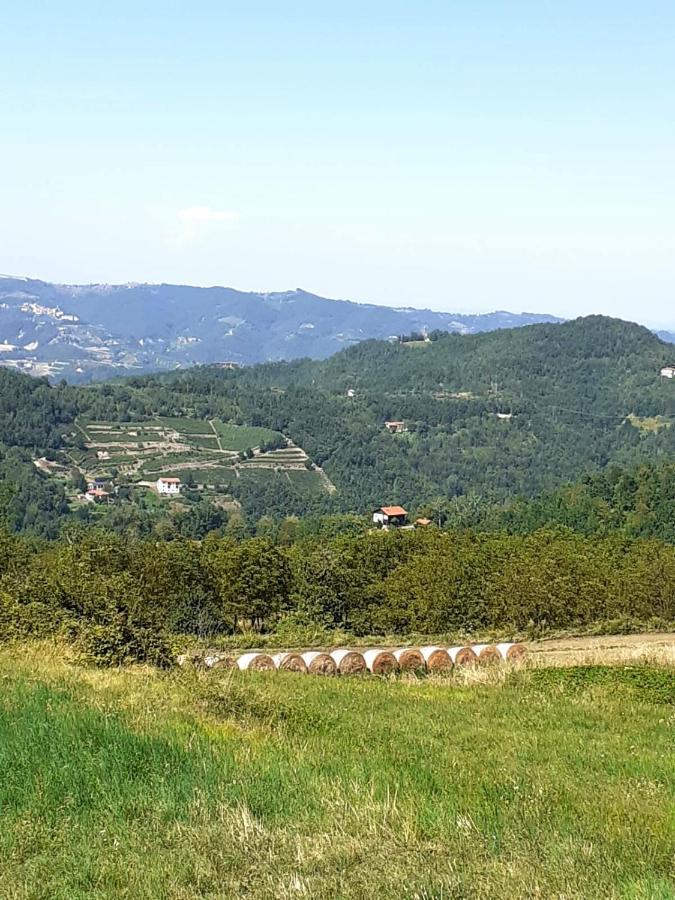 Il Melo Antico - In D'epoca Nel Cuore Del Monferrato Apartment