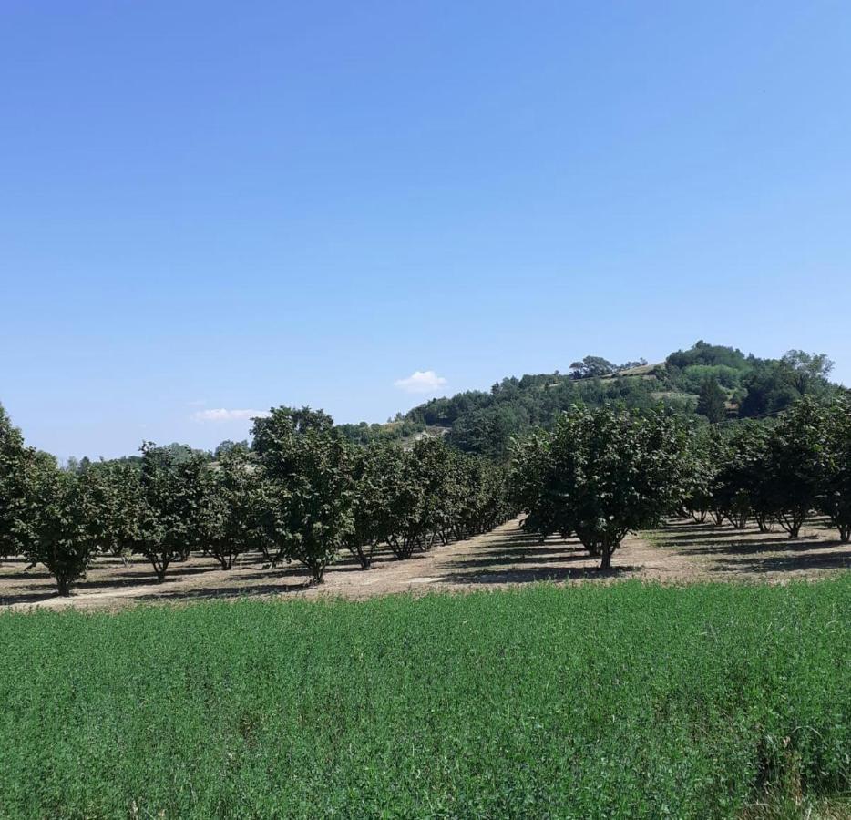 Il Melo Antico - In D'epoca Nel Cuore Del Monferrato *